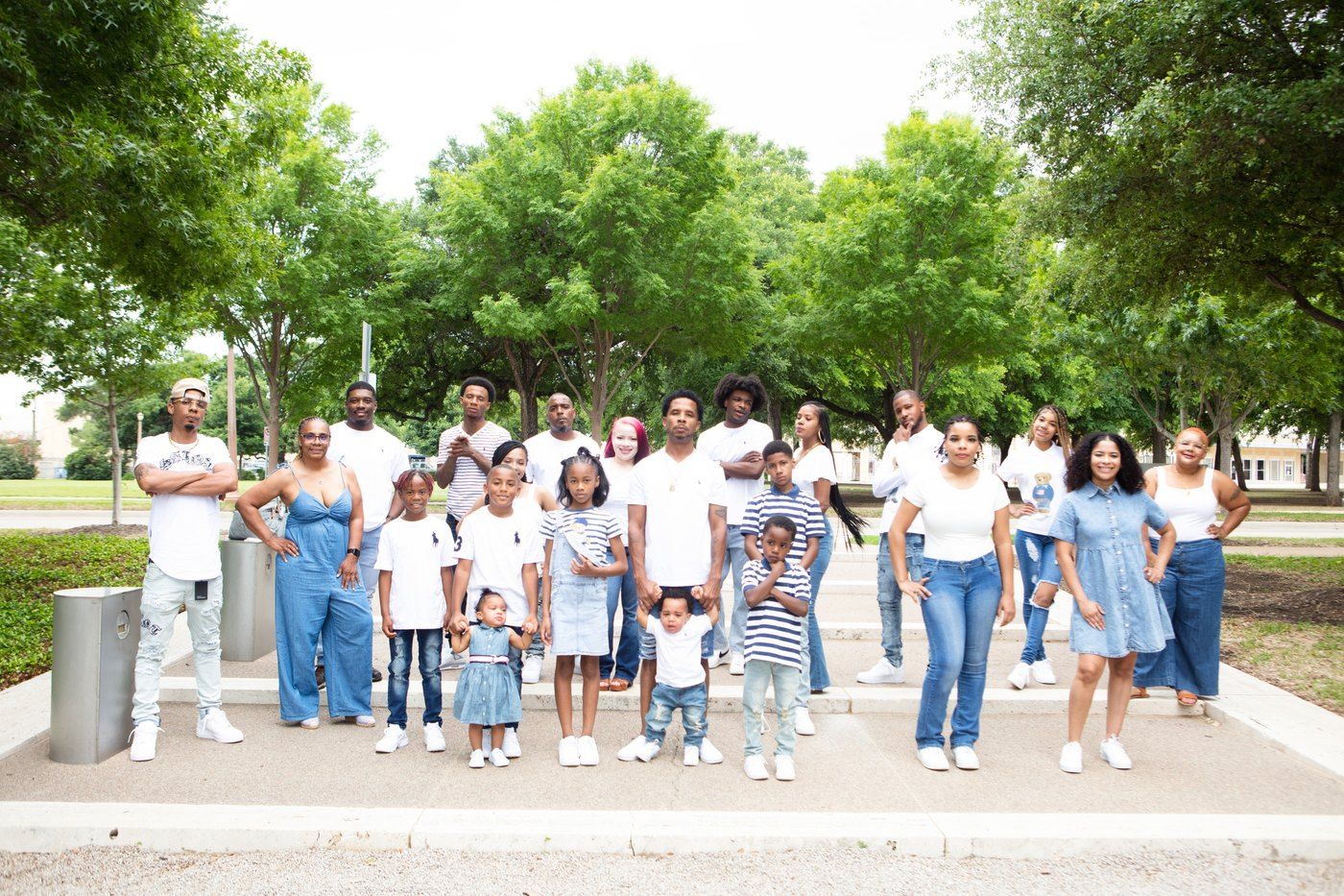 Bring the whole family tree. sample